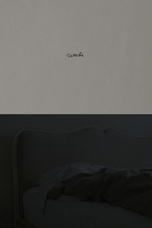 Wake poster