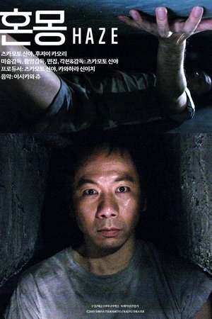 혼몽