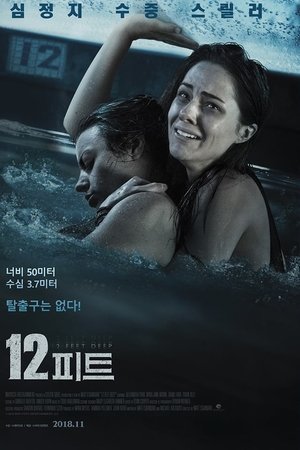 12피트
