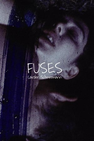 Fuses