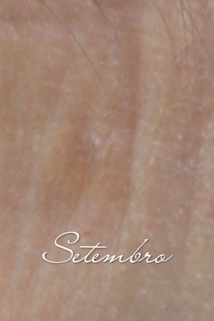 Setembro poster