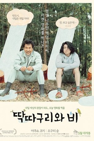 딱따구리와 비