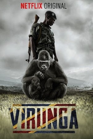 Virunga (2014)
