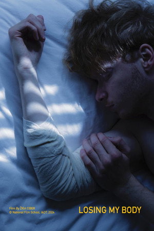 Losing My Body poster