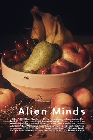 Alien Minds poster