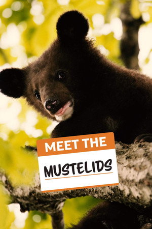 Meet the Mustelids Meet the Mustelids