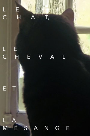 Le chat, le cheval et la mésange poster