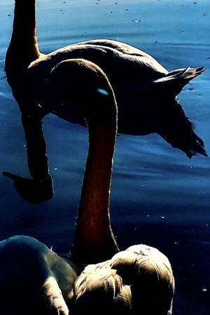 30 August 2024 Henlow