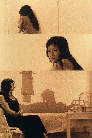 二頭女 影の映画 二頭女 影の映画