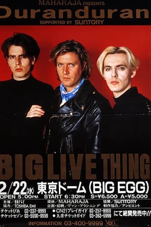 Duran Duran: Live in Japan '89