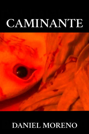 CAMINANTE