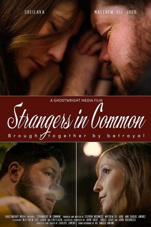 Strangers in Common poster