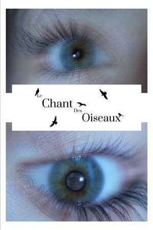 Le Chant Des Oiseaux Le Chant Des Oiseaux