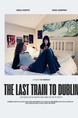 The Last Train to Dublin