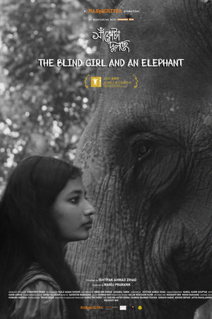 The Blind Girl and an Elephant