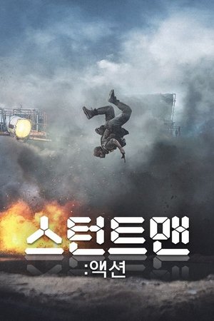 스턴트맨: 액션