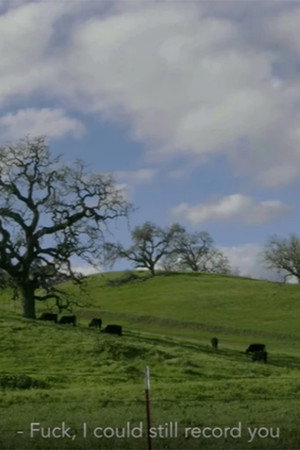 Organic Cow poster