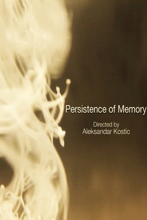 Persistence of Memory Persistence of Memory
