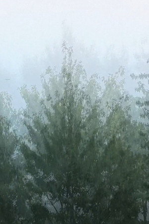 Wind poster