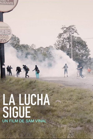 The Struggle Continues poster