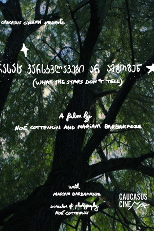 What the Stars Don’t Tell poster