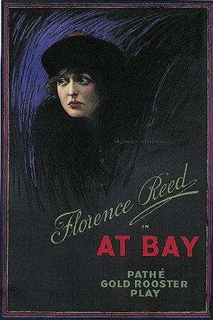 At Bay