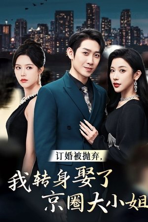 订婚被抛弃,我转身娶了京圈大小姐