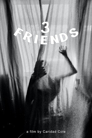 3 Friends poster