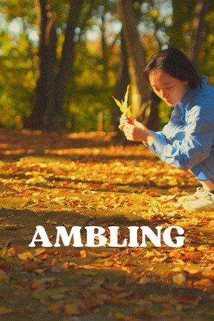 AMBLING poster