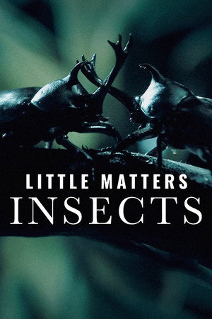 Little Matters: Insects poster