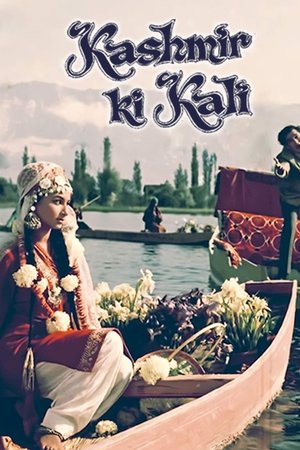 Kashmir Ki Kali