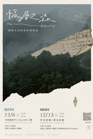 The Multistory poster