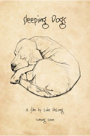 Sleeping Dogs poster