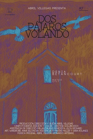 Dos pájaros volando poster