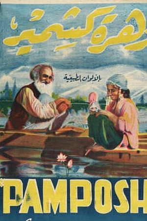 Pamposh poster