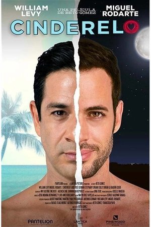 Poster of Cinderello