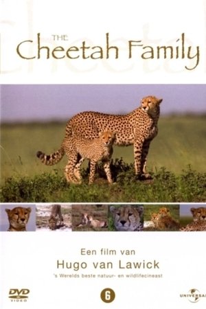 Cheetah Story