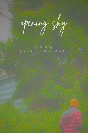 Opening Sky poster
