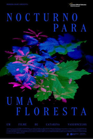 Nocturno Para Uma Floresta