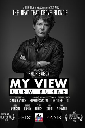 My View: Clem Burke