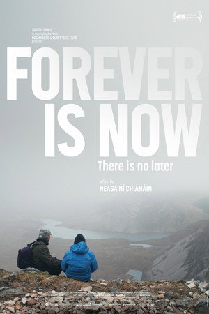 Forever is Now poster