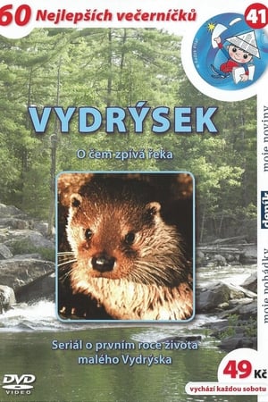 Vydrýsek