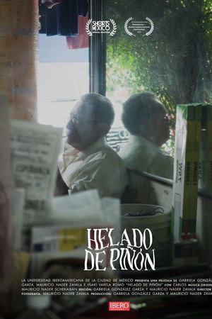 Pistachio Ice Cream poster