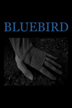 Bluebird poster