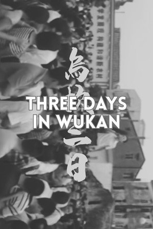 Three Days in Wukan poster