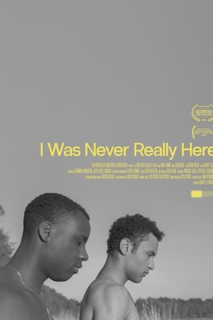 I Was Never Really Here