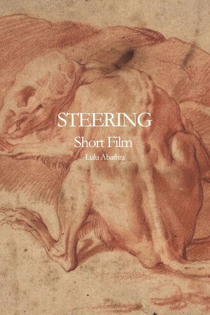 Steering