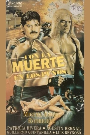 Poster of Con la muerte en los puños