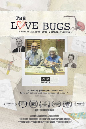 The Love Bugs poster