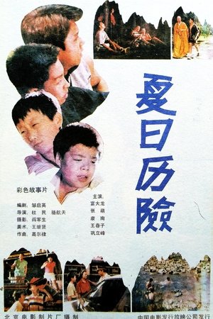 夏日历险
